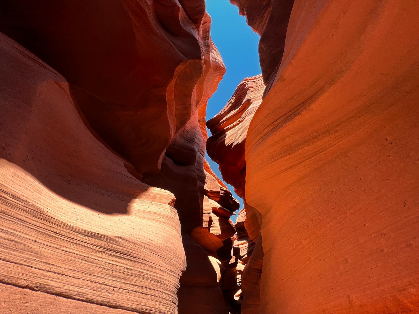 He Lost His Arm in a Canyon. He Says It Was the Best Day of His Life.